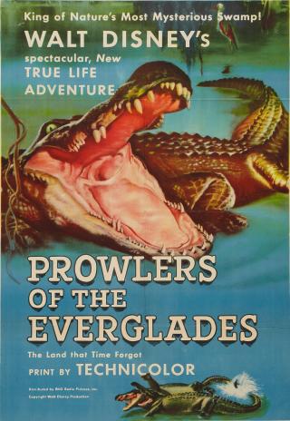 Poster Prowlers of the Everglades