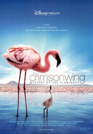 Poster The Crimson Wing: Mystery of the Flamingos