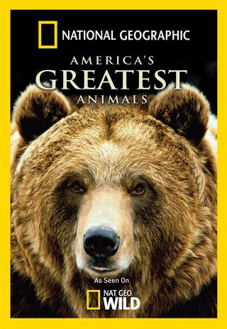 Poster America's Greatest Animals