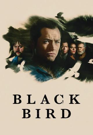 Poster Black Bird
