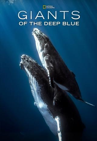 Poster Giants of the Deep Blue