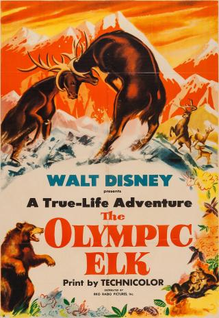 Poster The Olympic Elk