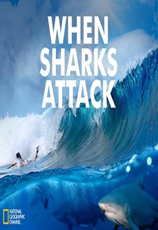 When Sharks Attack (2013)