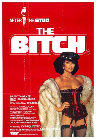 Poster The Bitch