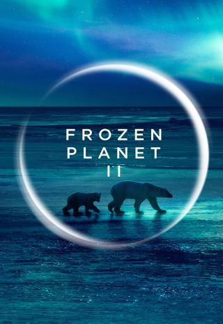 Poster Frozen Planet II