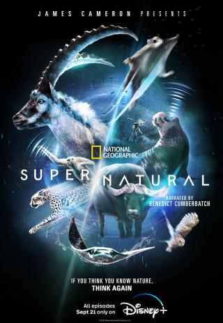 Poster Super/Natural