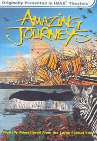 Poster Amazing Journeys
