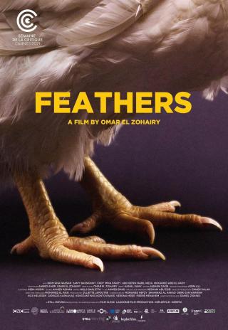 Poster Feathers