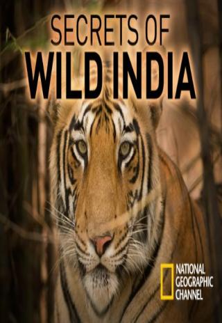 Secrets of Wild India (2012)
