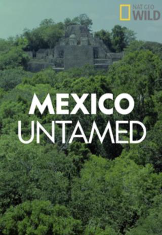 Poster Mexico Untamed