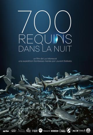 Poster 700 Sharks