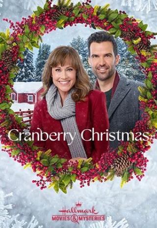 Poster Cranberry Christmas