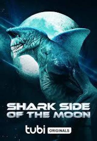 Poster Shark Side of the Moon