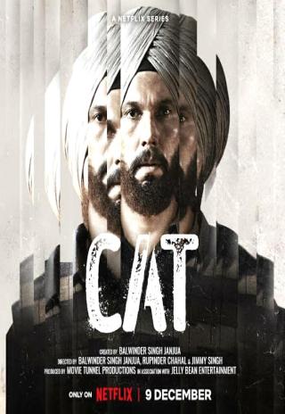 Poster Cat