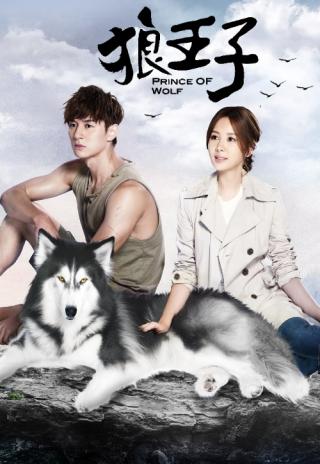 Poster Prince of Wolf