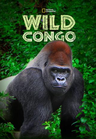 Poster Wild Congo