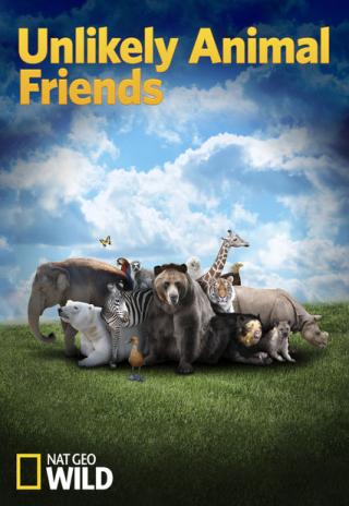 Poster Unlikely Animal Friends