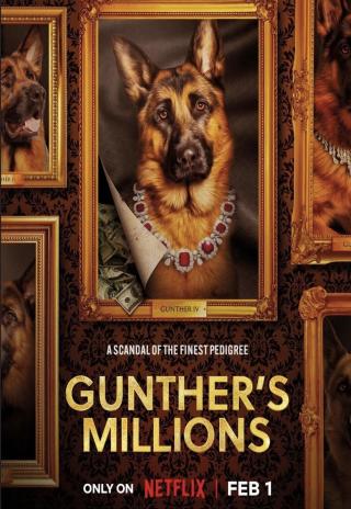 Poster Gunther's Millions