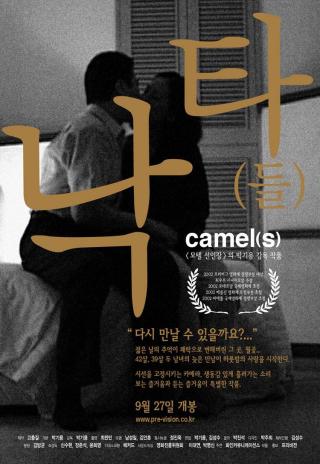 Camel(s) (2001)