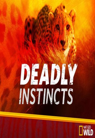 Poster Deadly Instincts