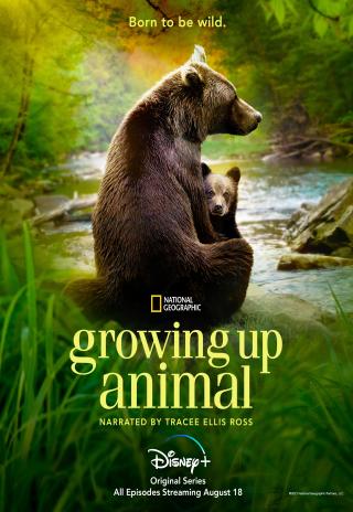Poster Growing Up Animal