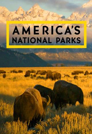 Poster America's National Parks