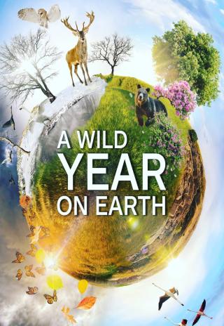 Poster A Wild Year on Earth