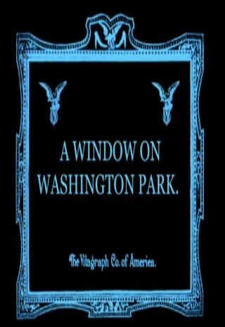 A Window on Washington Park (1913)