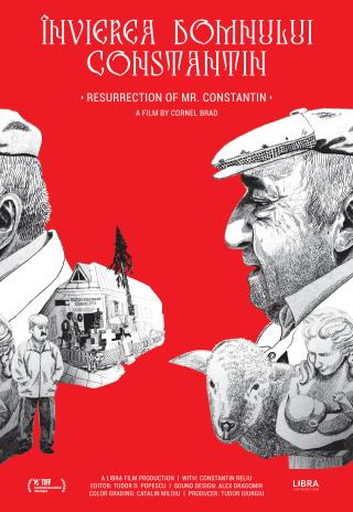 Resurrection of Mr. Constantin (2019)