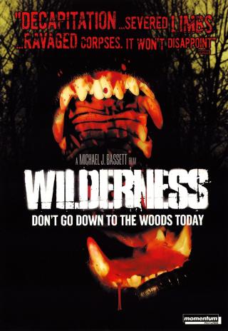 Poster Wilderness