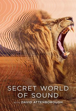 Poster Secret World of Sound with David Attenborough