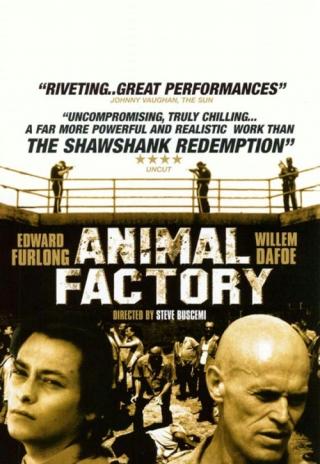 Poster Animal Factory