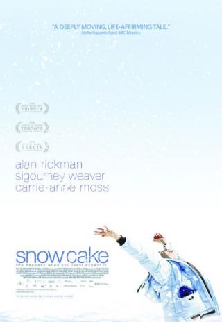Poster Snow Cake