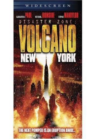 Poster Disaster Zone: Volcano in New York