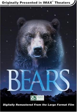 Poster Bears