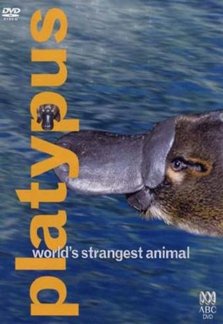 Poster Platypus: World's Strangest Animal