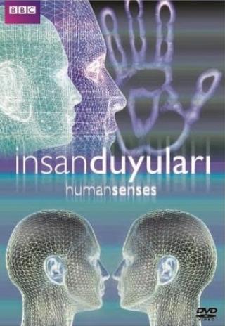 Poster Human Senses