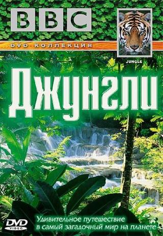 Jungle (2003)