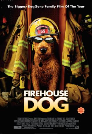 Poster Firehouse Dog