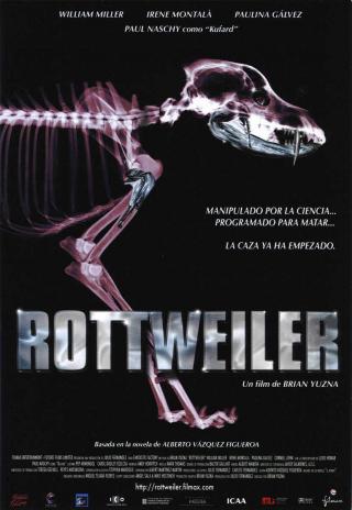 Poster Rottweiler