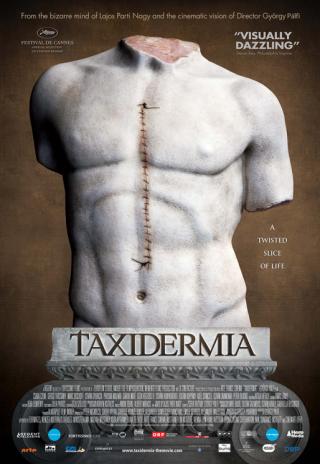 Poster Taxidermia