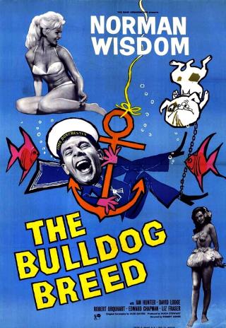 Poster The Bulldog Breed