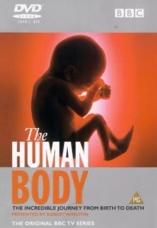 Poster The Human Body