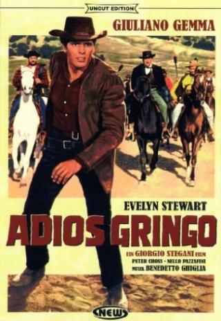 Poster Adiós gringo