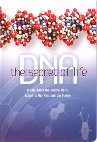 DNA (2003)