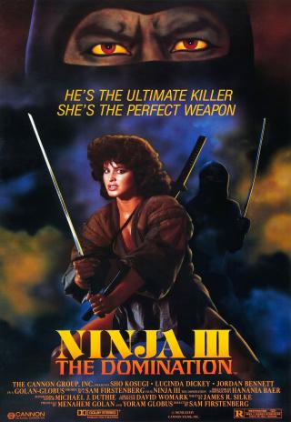 Poster Ninja III: The Domination