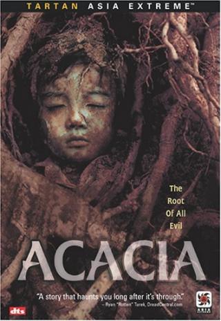 Poster Acacia