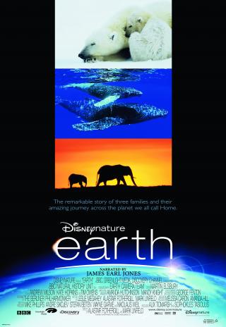 Poster Earth