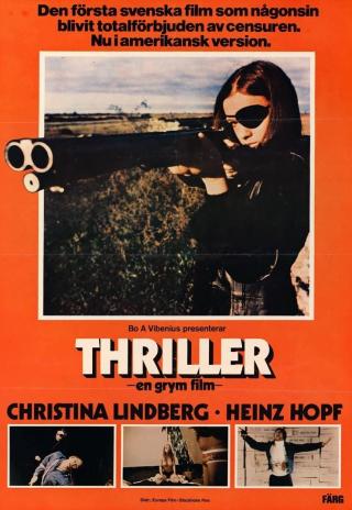 Poster Thriller: A Cruel Picture