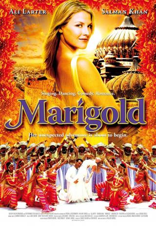Poster Marigold